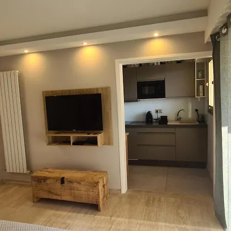 Luxury Studio Apartment *